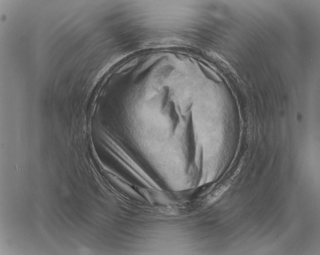 X0000060561457200512011629