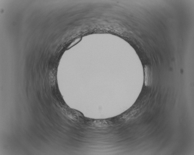 X0000060561491200512011628