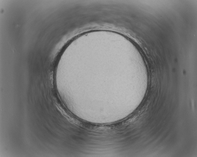 X0000060561503200512011628