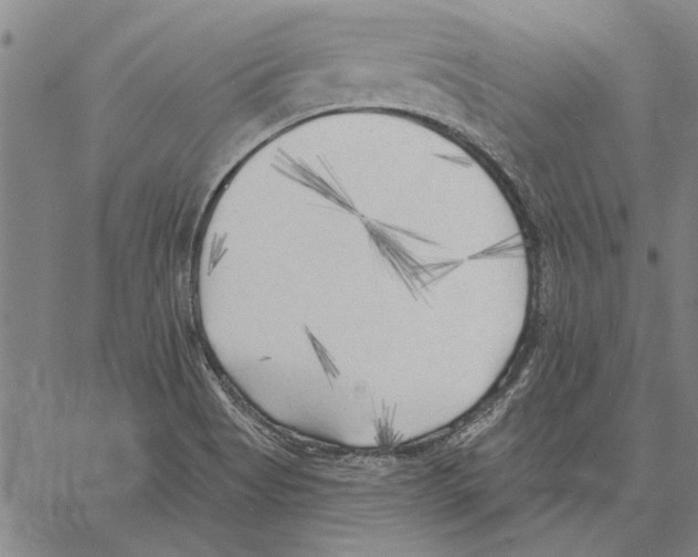 X0000060561513200512011628