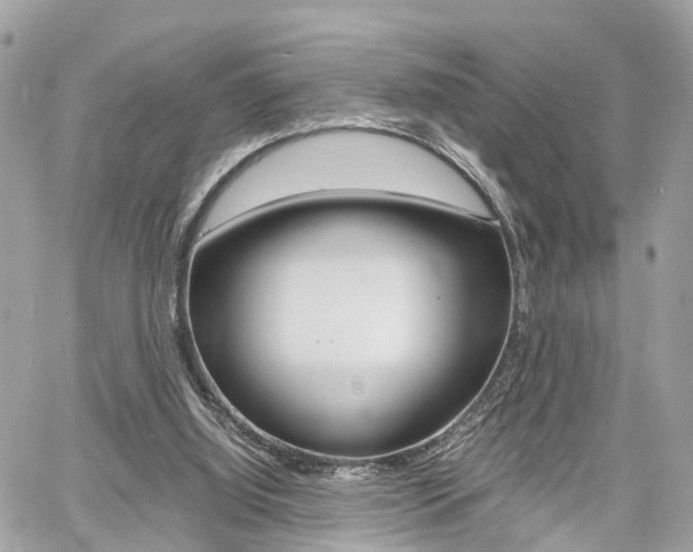 X0000060570060200511030903