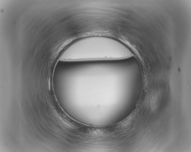 X0000060570062200511030903