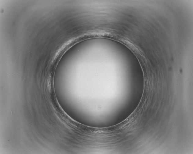 X0000060570064200511030903