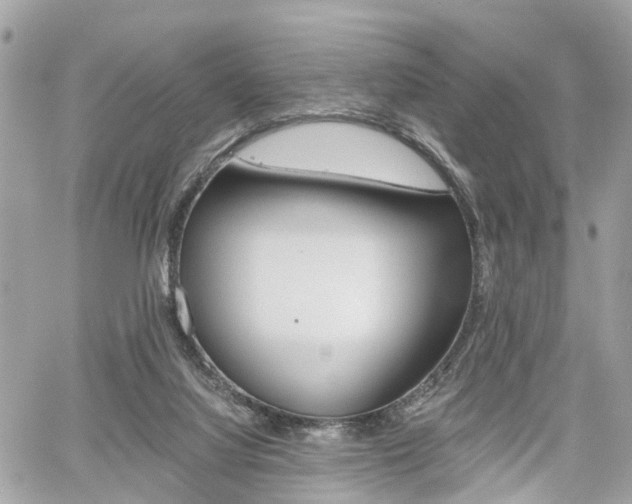 X0000060570068200511030903