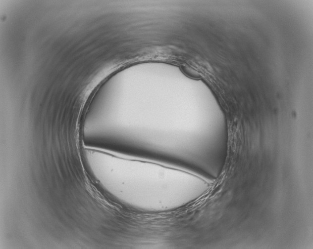 X0000060570100200511030903