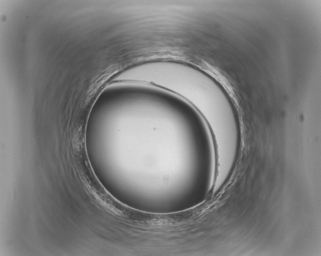 X0000060570105200511030903