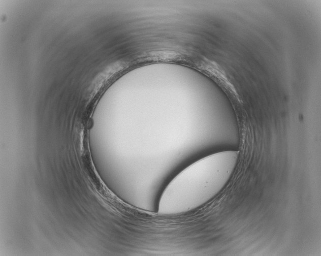 X0000060570110200511030903