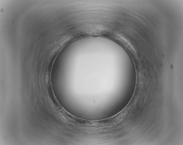 X0000060570113200511030902