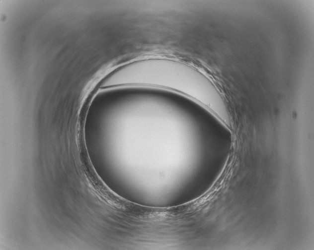 X0000060570152200511030901
