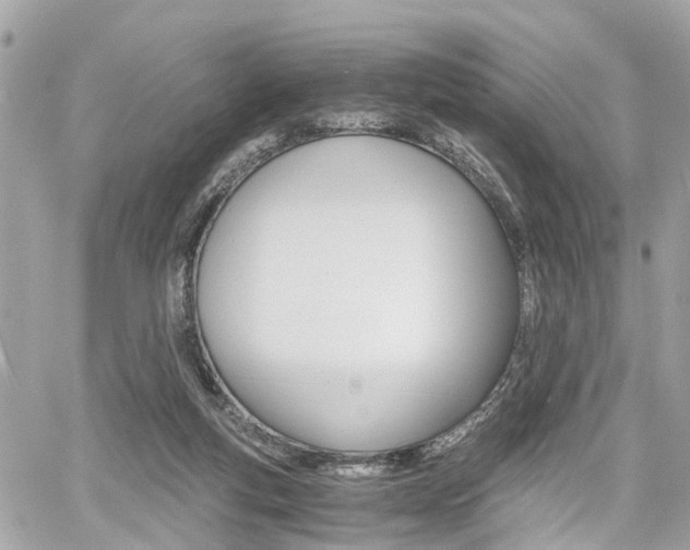 X0000060570163200511030901