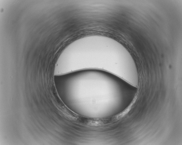 X0000060570174200511030902