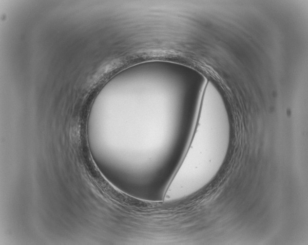 X0000060570207200511030901