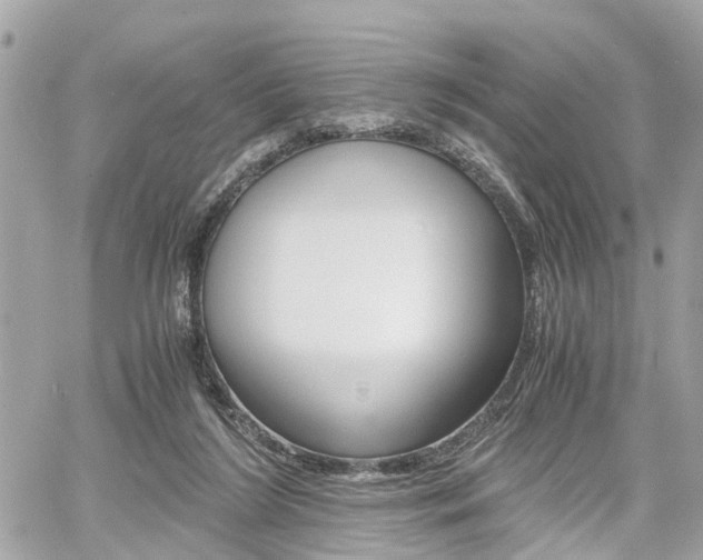 X0000060570212200511030901