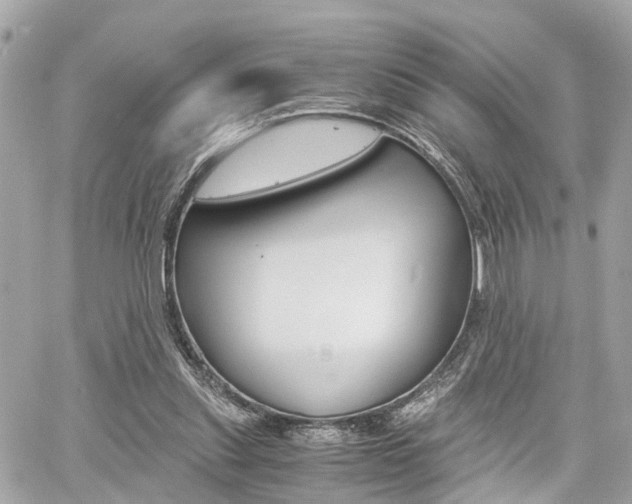 X0000060570253200511030900