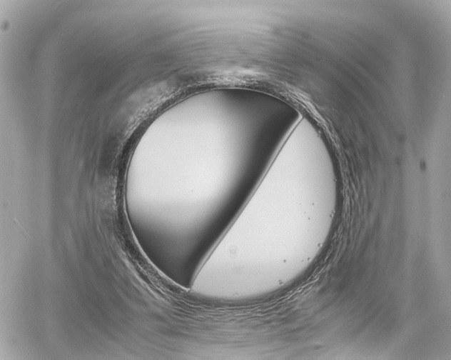 X0000060570299200511030859