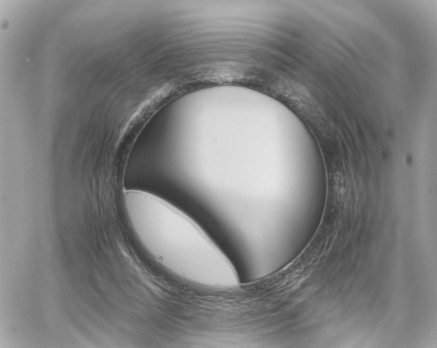 X0000060570304200511030859