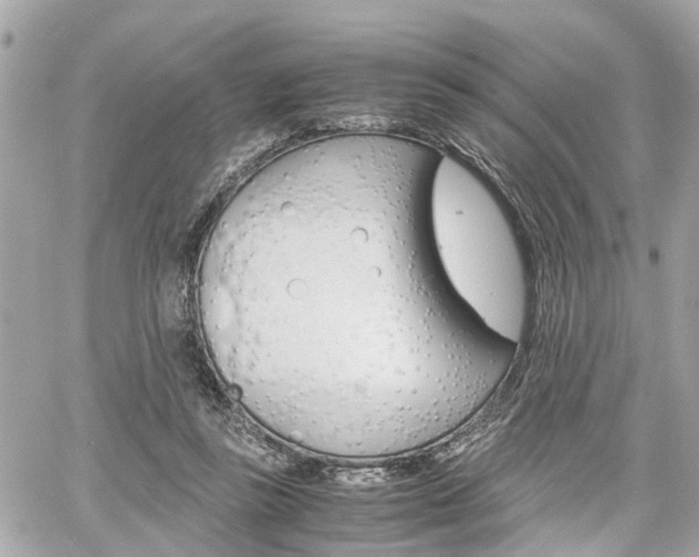 X0000060570355200511030858