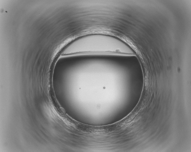 X0000060570438200511030856