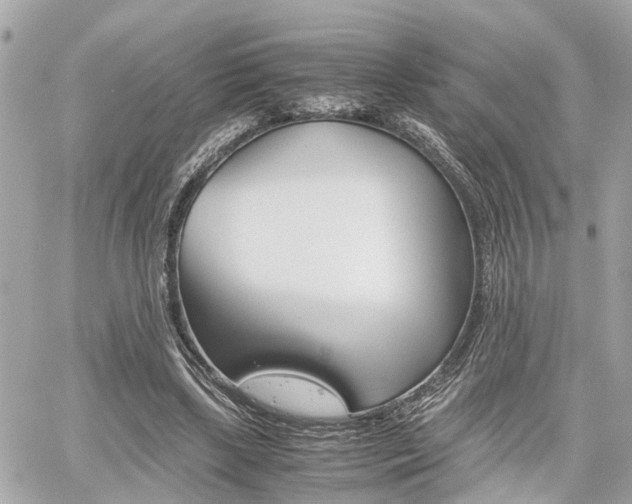 X0000060570443200511030856