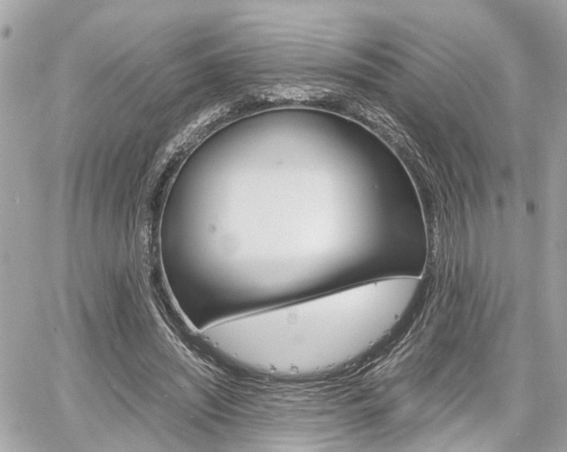X0000060570444200511030856