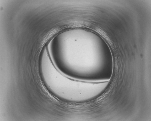 X0000060570485200511030856