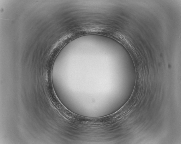 X0000060570539200511030855