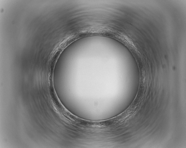 X0000060570542200511030855