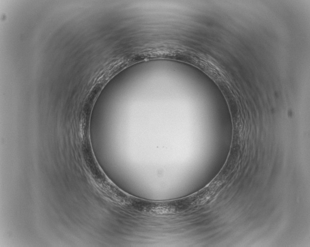 X0000060570546200511030855