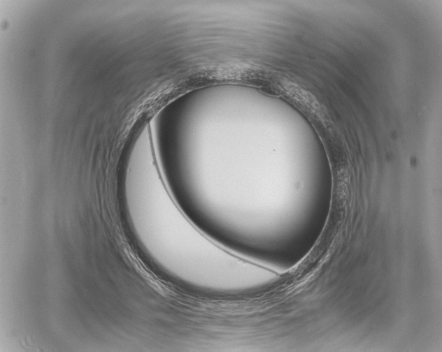 X0000060570589200511030854