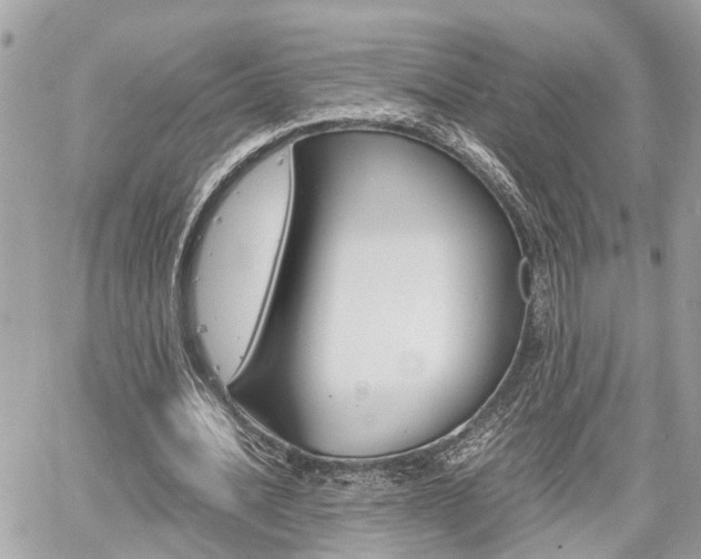 X0000060570628200511030853