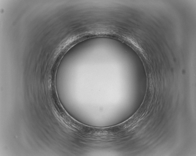 X0000060570631200511030853