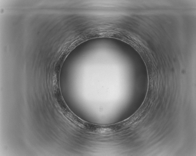 X0000060570748200511030852