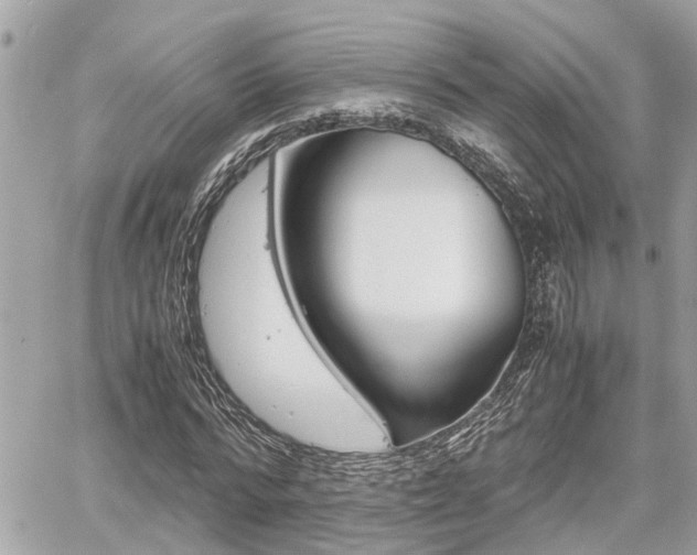 X0000060570776200511030851