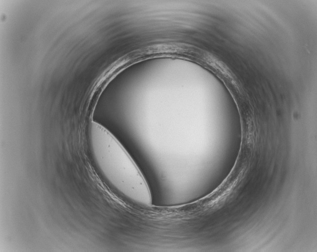X0000060570786200511030851