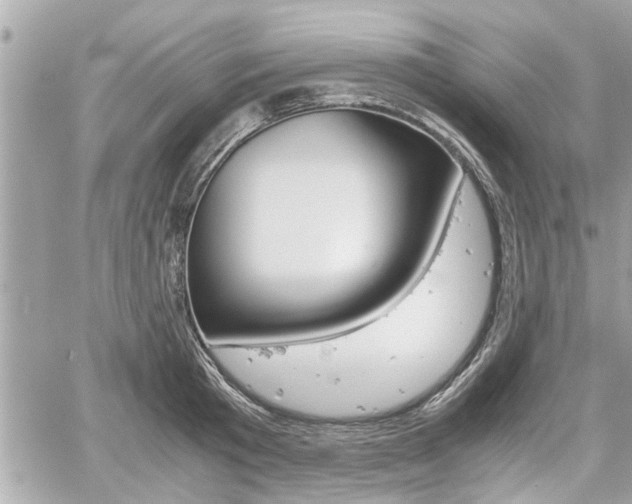 X0000060570801200511030851