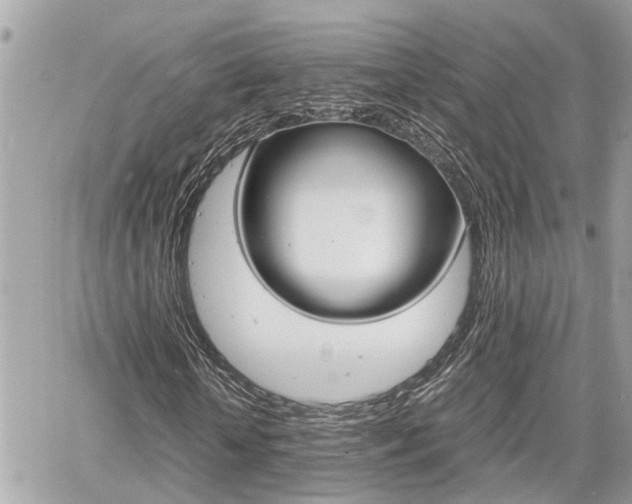 X0000060570818200511030850