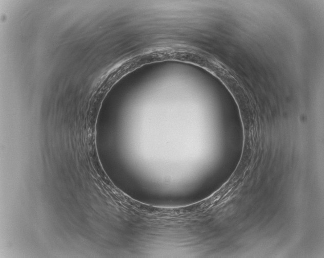X0000060570822200511030850