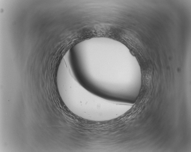 X0000060570865200511030850