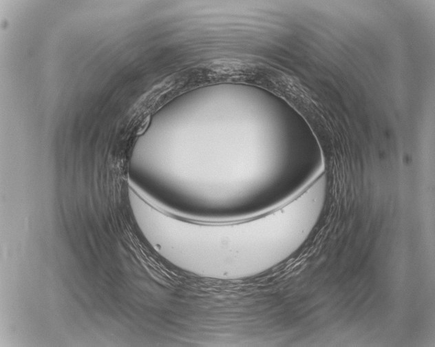 X0000060570868200511030850