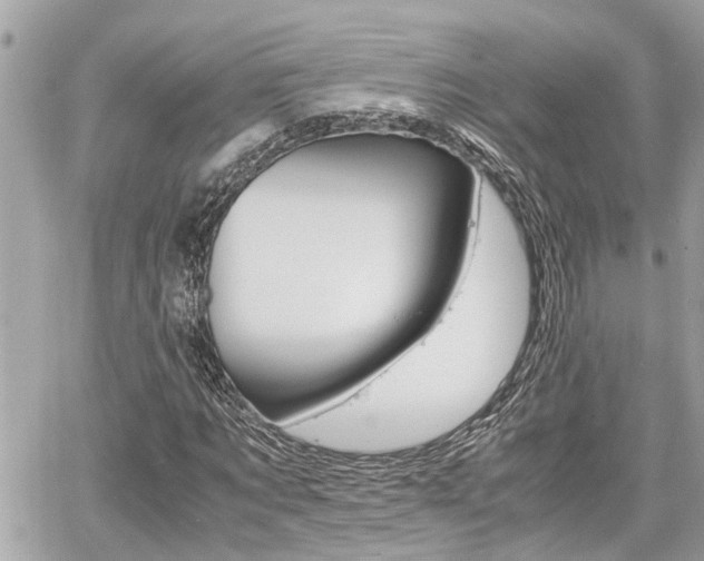 X0000060570869200511030850