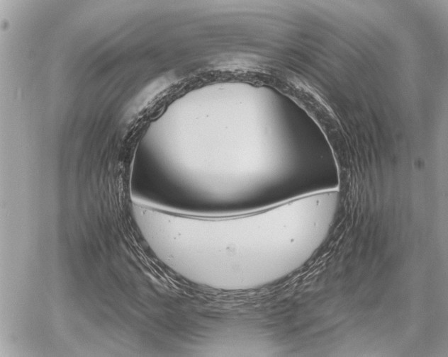 X0000060570968200511030848