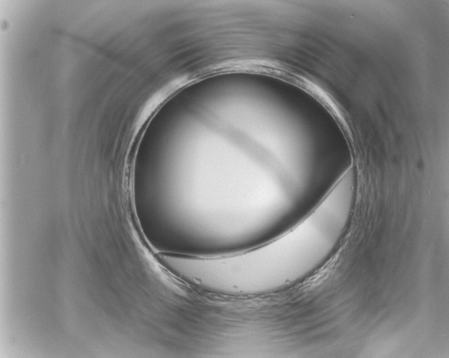 X0000060571050200511030847