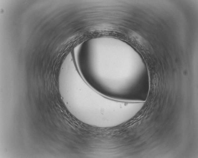 X0000060571062200511030846