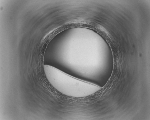 X0000060571064200511030846