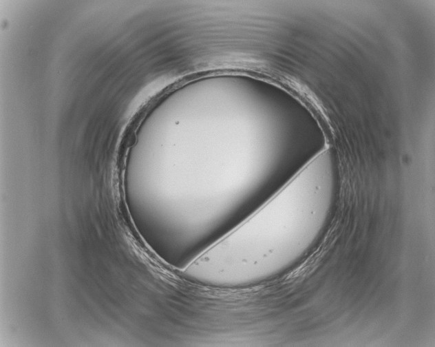 X0000060571072200511030846