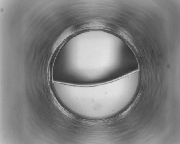 X0000060571082200511030846