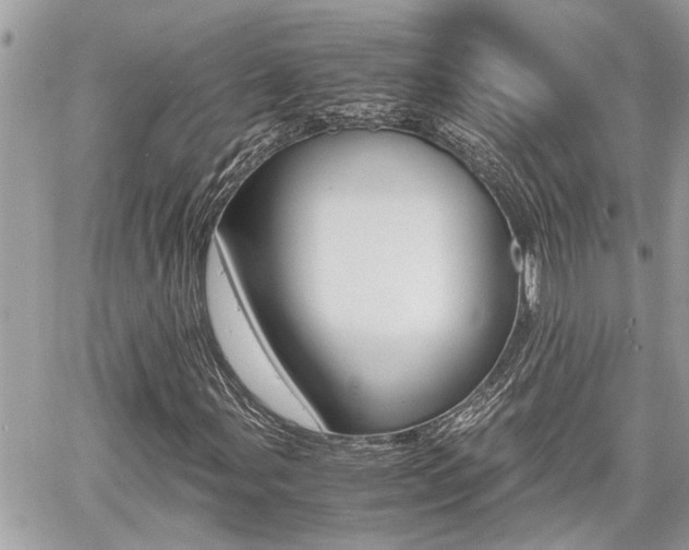 X0000060571107200511030845