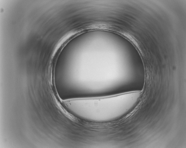 X0000060571131200511030845