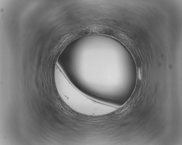 X0000060571155200511030845