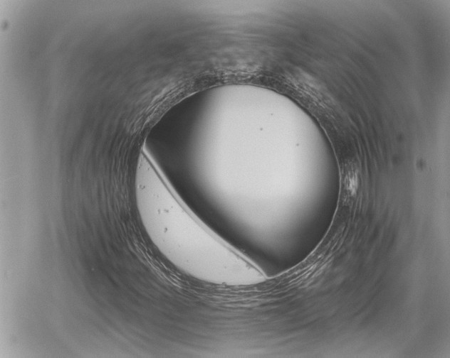 X0000060571252200511030843